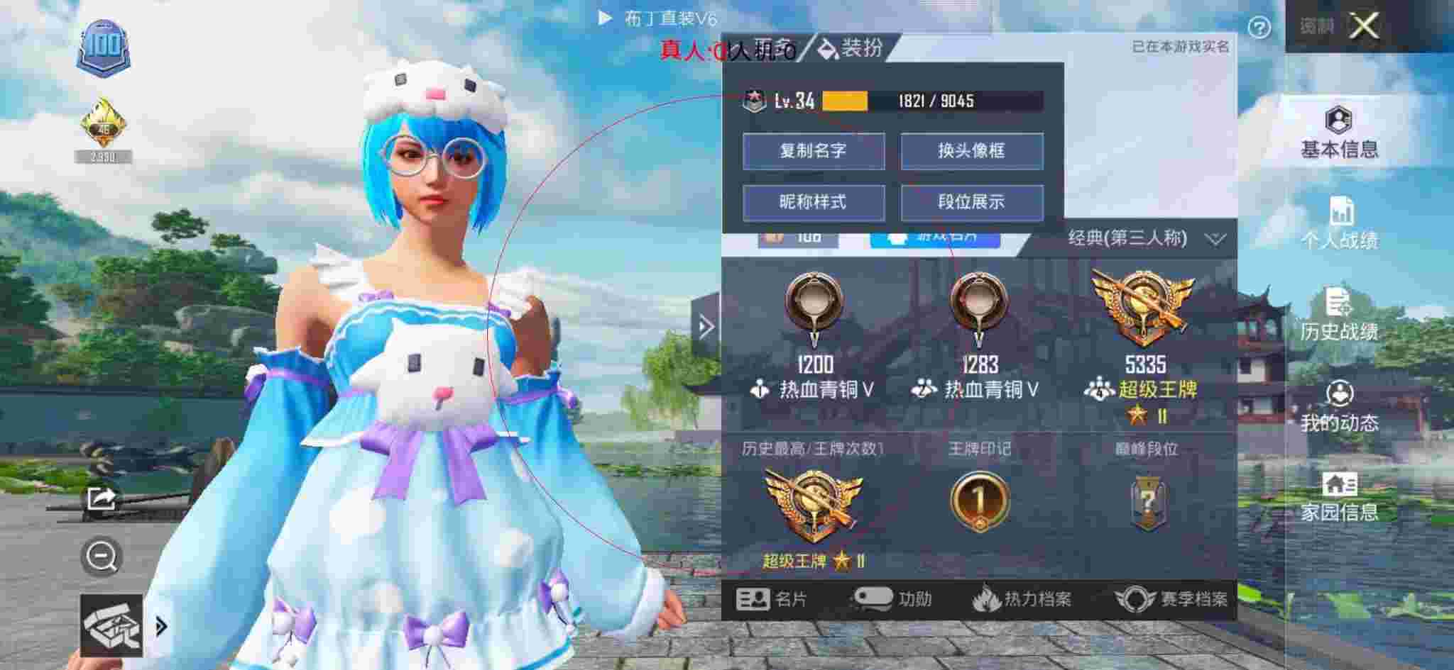 和平精英布丁直装透视 - 和平辅助卡纸制作辅助预览图